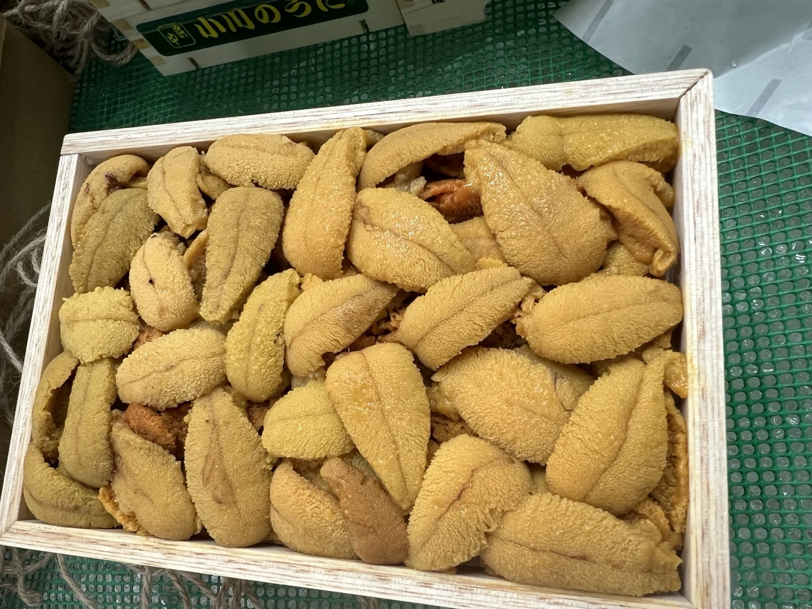 生ウニ